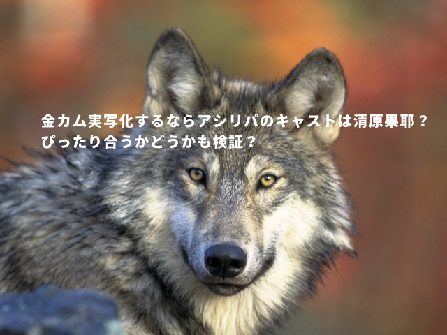 金カム実写化するならアシリパのキャストは清原果耶？ぴったり合うかどうかも検証？
